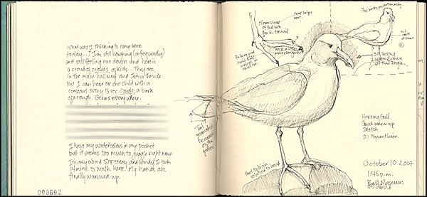 journal page
