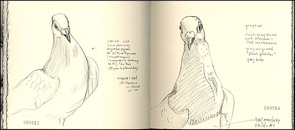 journal page